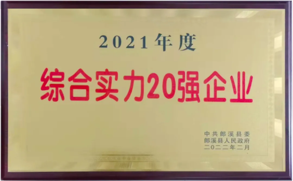 2021年度综合实力20强