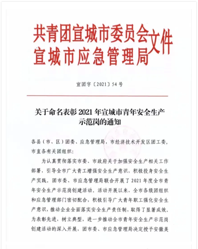 U8国际“2021年宣城市青年安全生产示范岗”