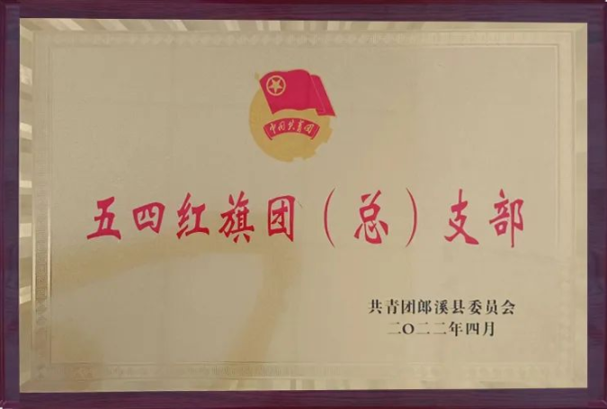 五四红旗团（总）支部.png