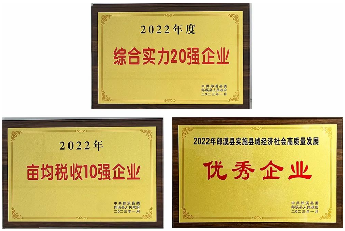 U8国际荣获郎溪三项大奖.png