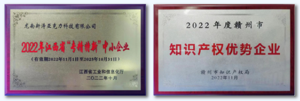 龙南U8国际荣获“专精特新”“知识产权”双项荣誉！